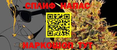 spice Шелехов